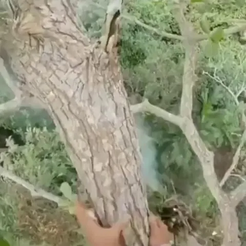 One little mistake can have grave consequences...