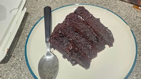 [Homemade] I Made A Fudgy Matilda Chocolate Cake