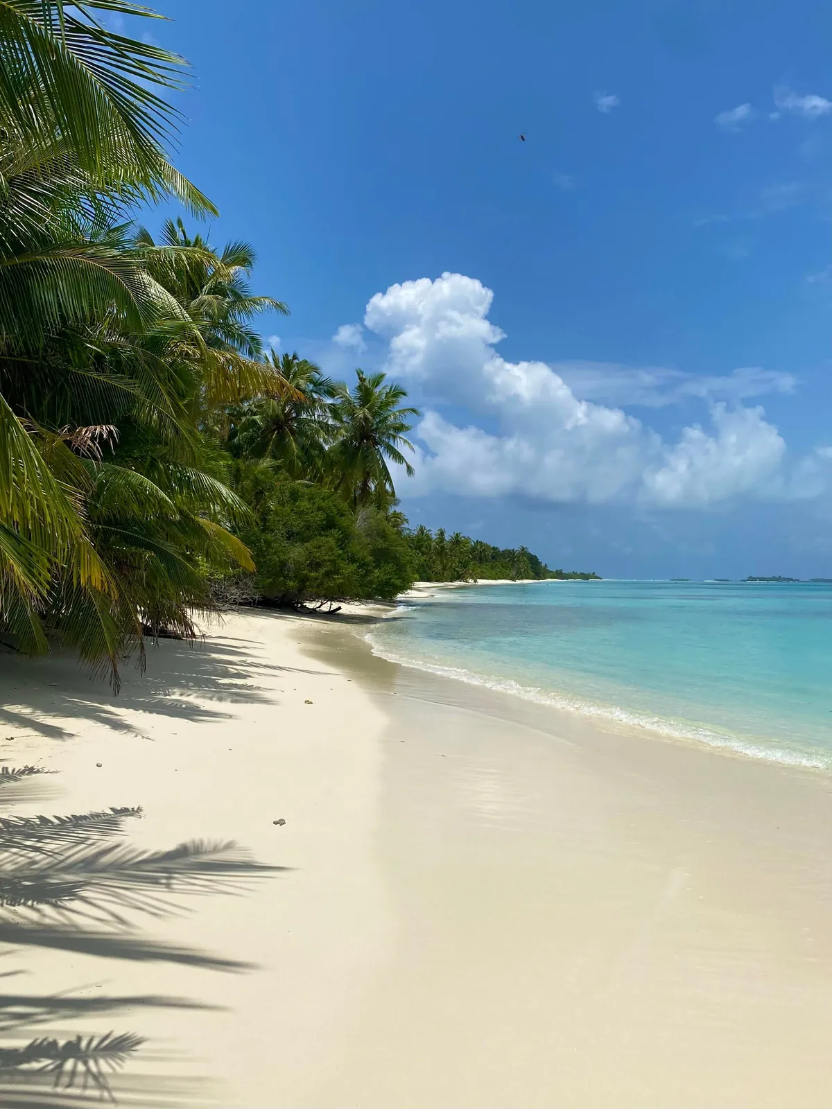 Spent a couple of days on a local Maldivian island and loved every second of it.