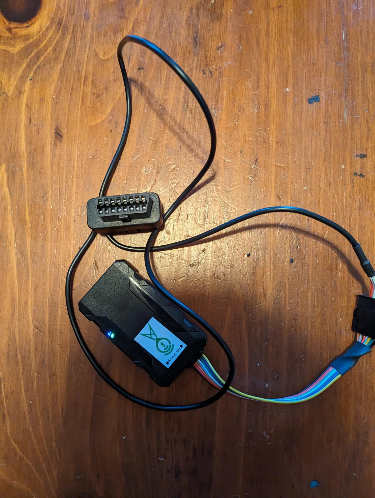 Found this little fella while doing a state inspection on my (paid off, never financed) car