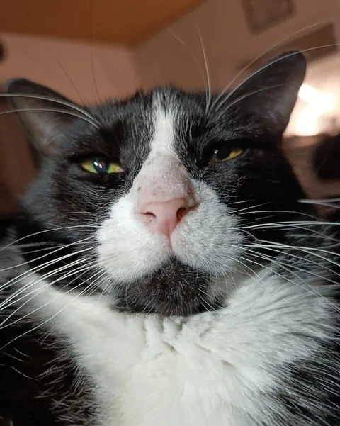 Rest in peace big boy