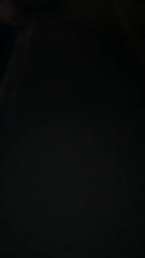 🔥POV as you're walking at night along the boat dock and encounter a Leopard Seal.