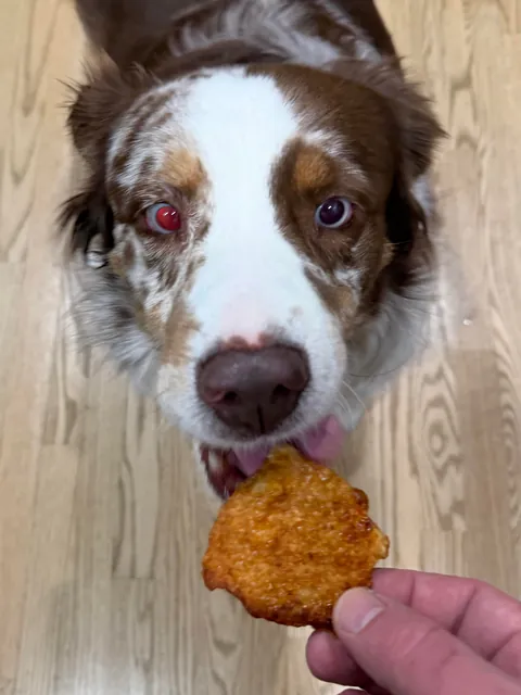 [homemade] boneless wings or saucy nugs or popcorn chicken or something.
