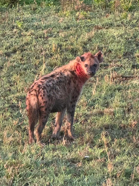 2 weeks of a dream in Tanzania