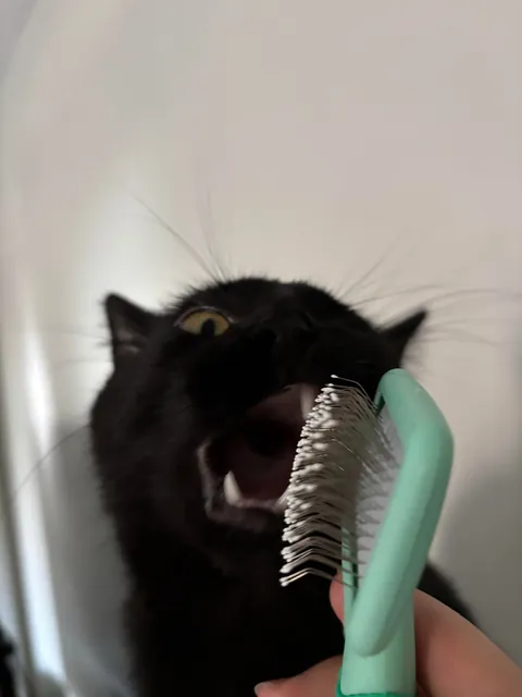 anyone else have an expressive void?