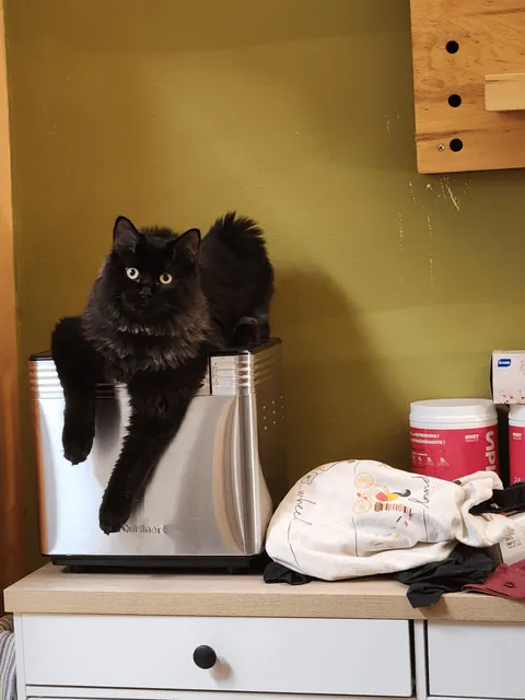 Anyone else have a void with 'frosted' tips?