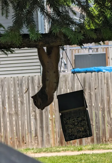 I was baffled at how many seed blocks we were going through until I found the culprit today...