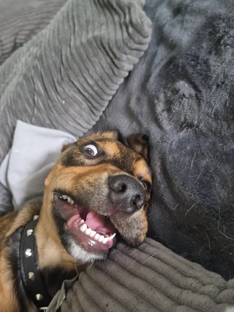 Crazy boy how I love you