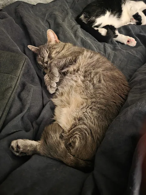Update on my not new daughter, yes her eyes are still just like that.