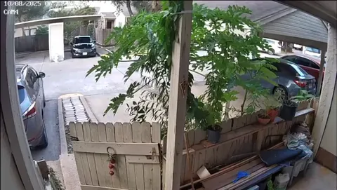 No Special License Requirements for Rental Trucks