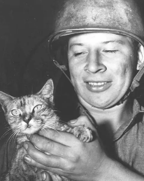 In WWI, around 500,000 cats served in trenches and on ships—controlling rats, boosting morale, and even acting as early gas detectors. They brought comfort to soldiers in the chaos of war. (Some pics are from WWII)