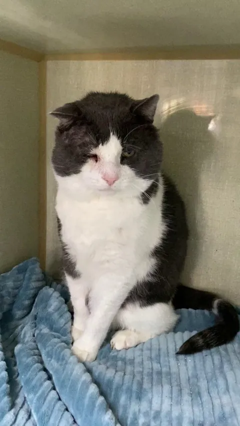 Géode from our shelter in all his splendour. 