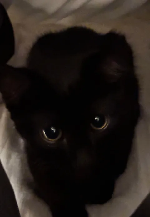 Does anyone else have a nickname that they call their void?