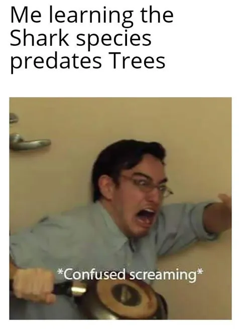 I am now cursed with this knowledge