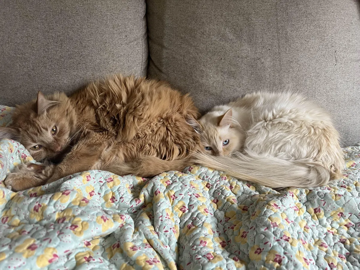 Bonded father and daughter