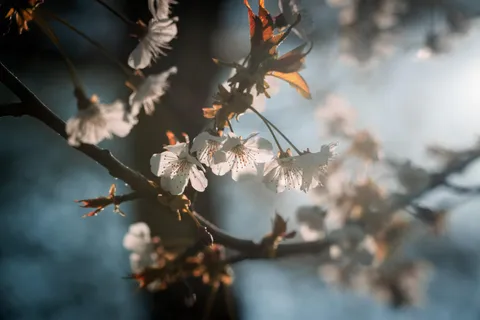 Experimenting with light