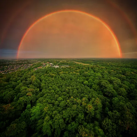🔥 Double Rainbow Over Green Pine Woods 