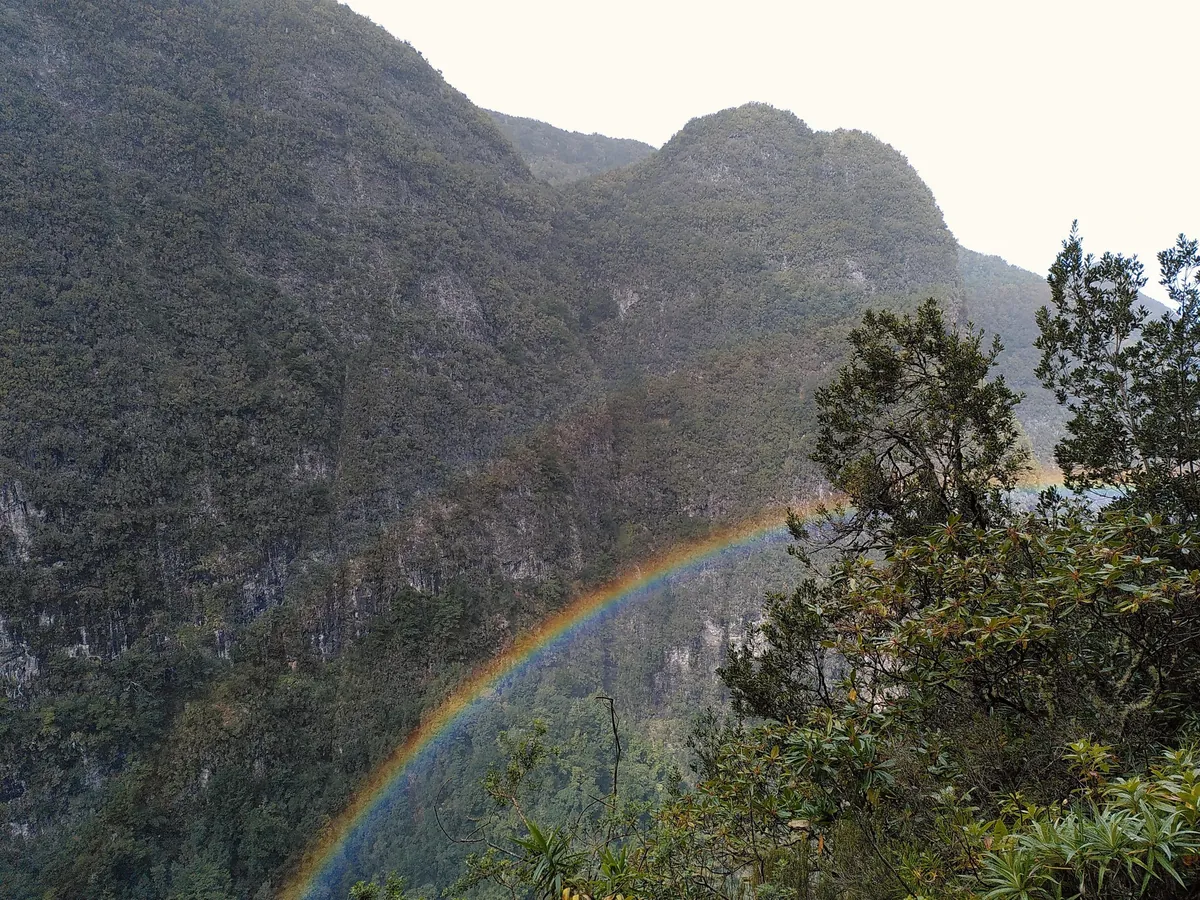 Madeira is a paradise for nature lovers. Five days on the island in pictures.