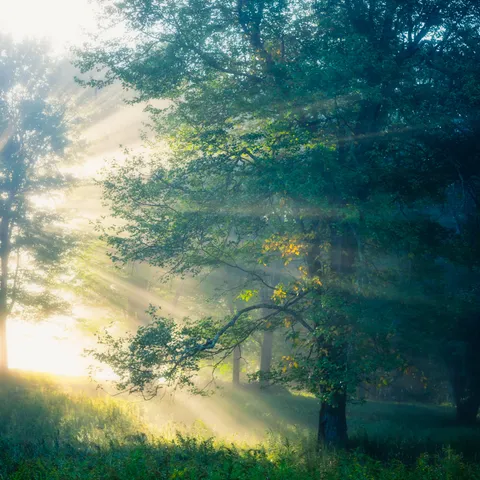 Stunning early morning light in the Hudson Valley, NY [OC] [4000x4000]