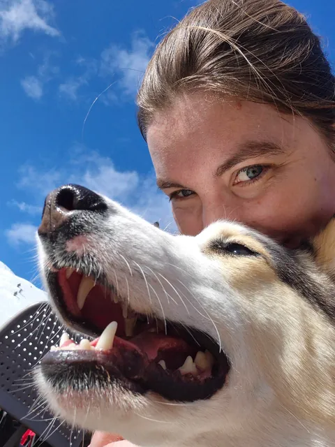 I went on a mountain hike in France and we met so many adorable beasties 😍