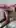 Do college girls in tights make your dick hard