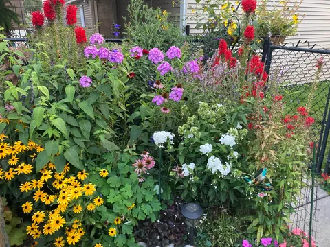 Flowers put on a final show in these last weeks of summer that already feel like fall.