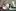 Ella Milano