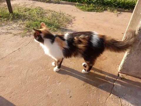 I went to visit a friend and met this beautiful princess...