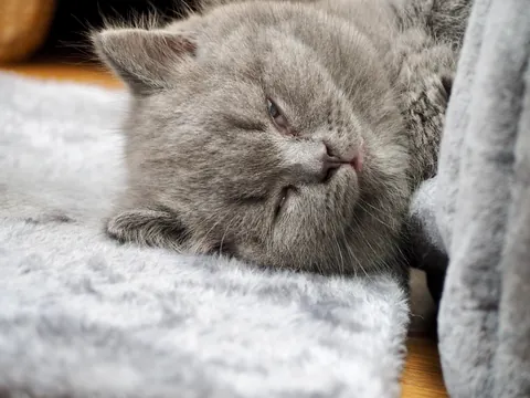 It’s his 1st bday. Congratulate him