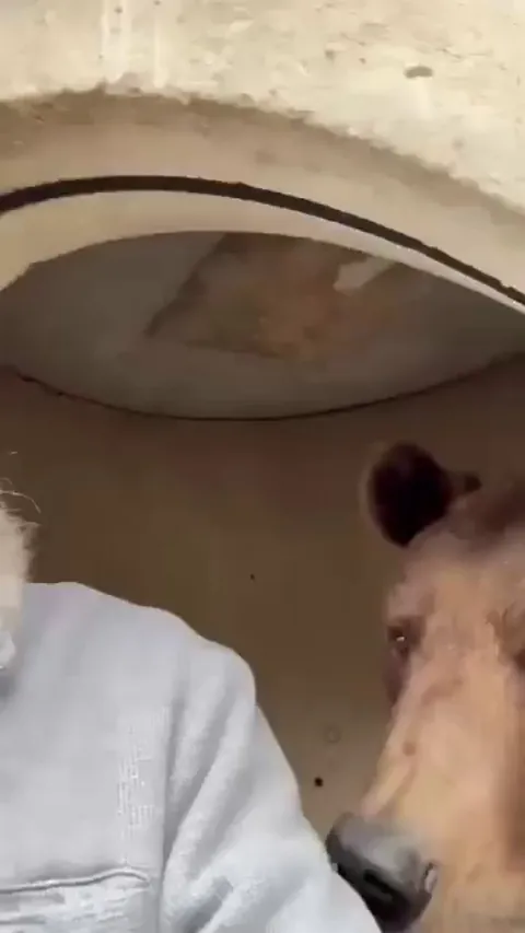 🐻 today another video of my bear.