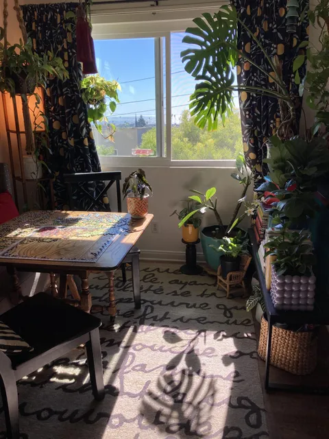 Morning light welcoming me to some gardening and puzzling joy…