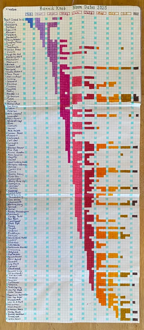 Bloom Dates of Every Flower in My Garden - 2025 Edition