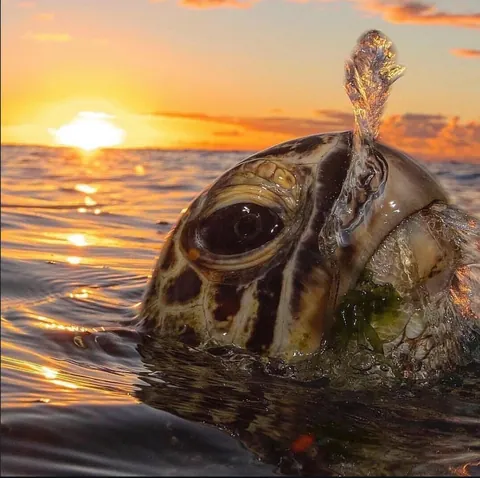 🔥 Coming Up for Air 🔥