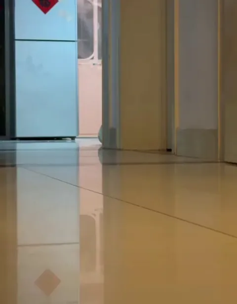 Being chased by your own baby haha 🐾