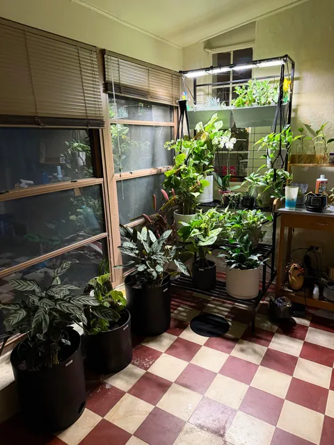 I started gardening in a wheelchair as a way to reconnect with nature. This was the beginning, 2nd photo is two years later and in physical rehab. 🥹