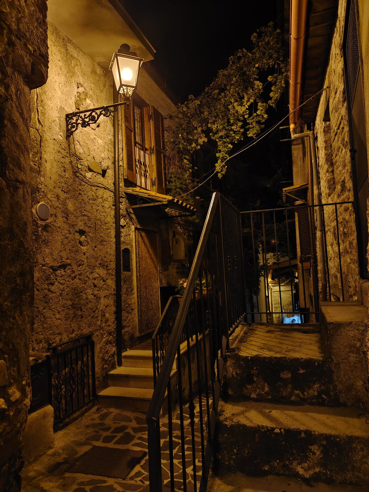 The silence of the night