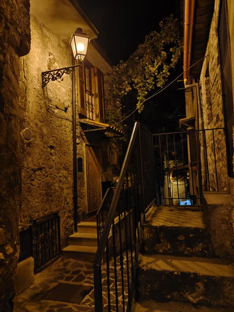 The silence of the night