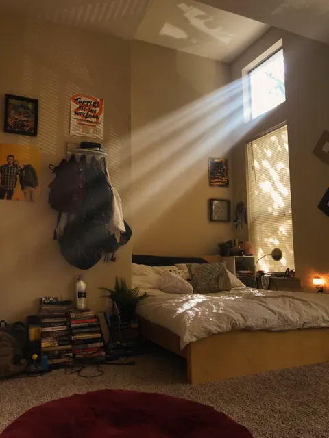 The natural light in my bedroom
