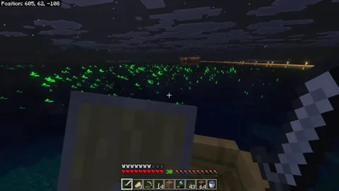 Command Block Kelp - Vibrant Visuals Glitch