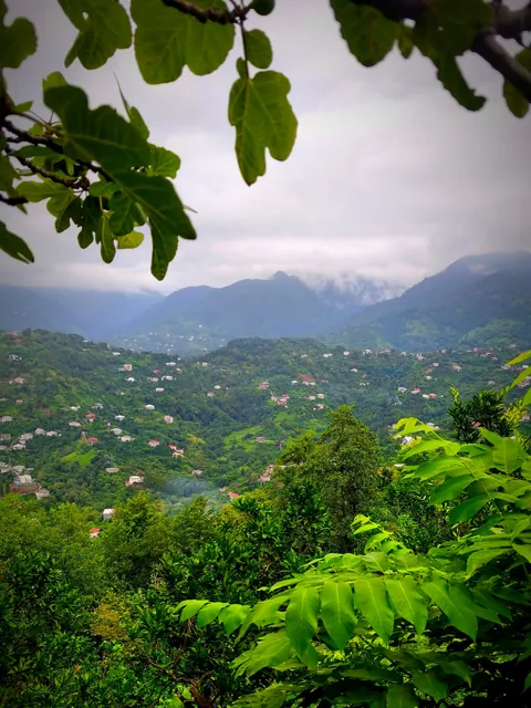 Trip report - 1 month in Georgia and I LOVED it