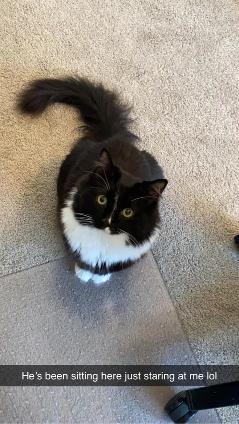 Had to say goodbye to my best friend