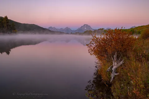 🔥Foggy Landscapes