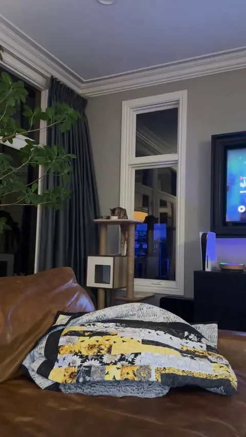 I gave her a bowl of bisque, she’s never done this before…