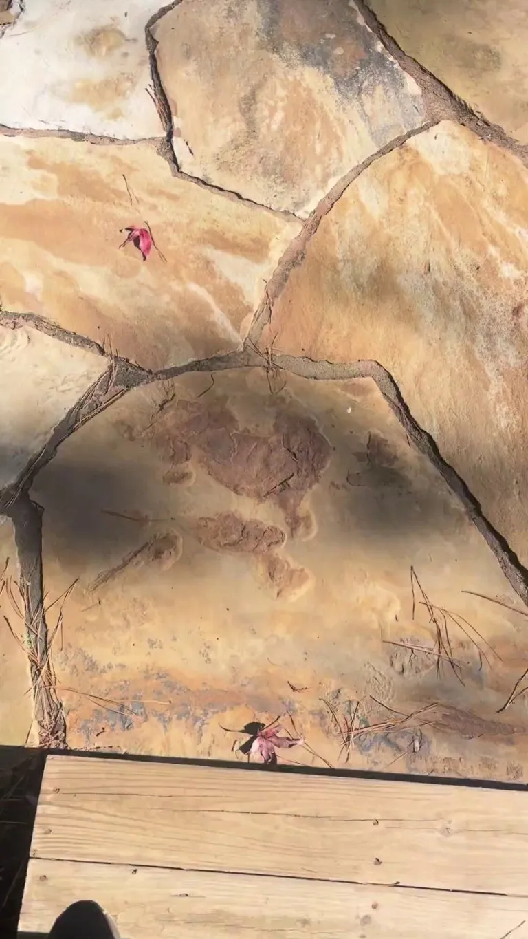 Asked the neighbours to cut it down, they said no. 3 days later…