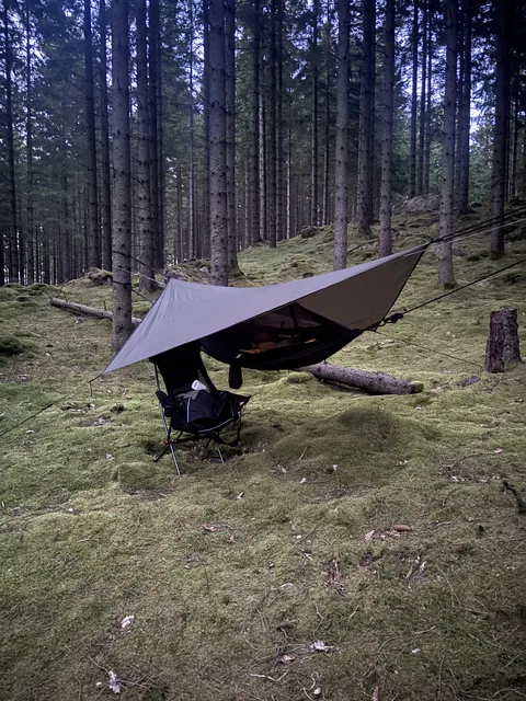 My bed for the night