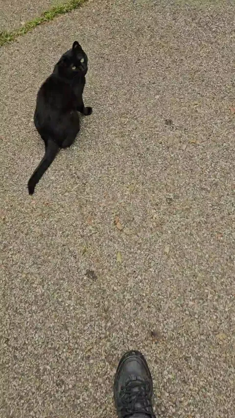 Almost took this lil guy home with me