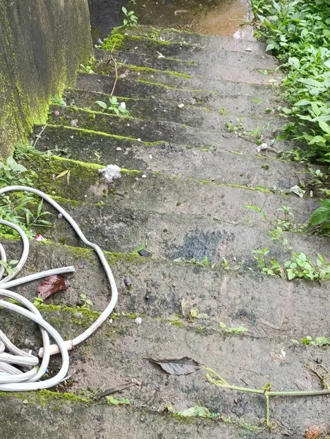How do I get rid of this? The stairs is unwakabley slippery cause of moss. I'm doing this for first time, is there any permanent solution for this?