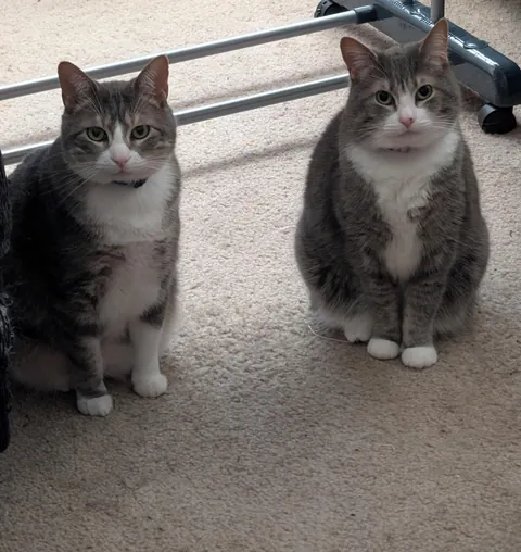 I lost my babies to a fire