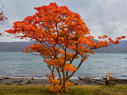 ITAP of a lake shore