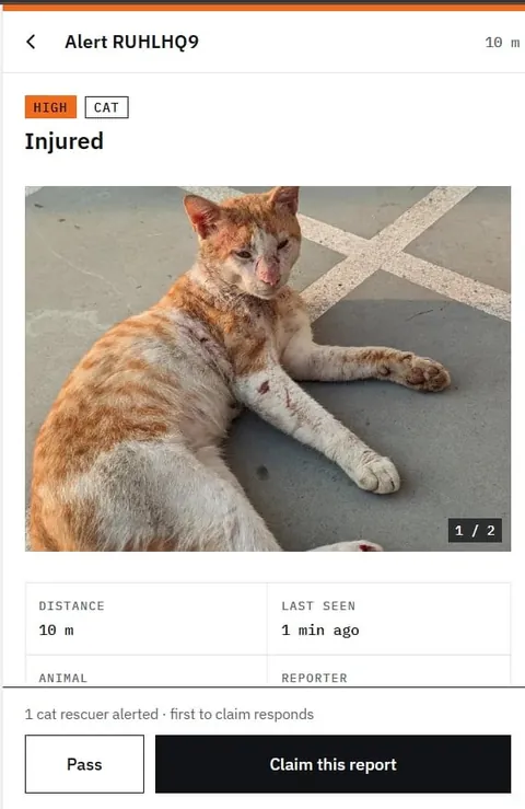 Filipino created a Grab or Lalamove but for animal rescue